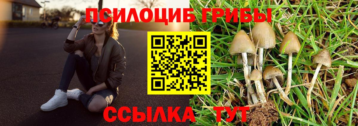 Псилоцибиновые грибы Cubensis Гагарин